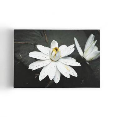 Imagem de Quadro Nenúfar Branco Lírio Lótus Flores Canvas 60X40Cm - Plimshop