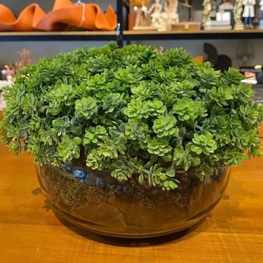 Imagem de Arranjo Centro de Mesa Vaso Incolor com Verdinho Folhagem Completo - D