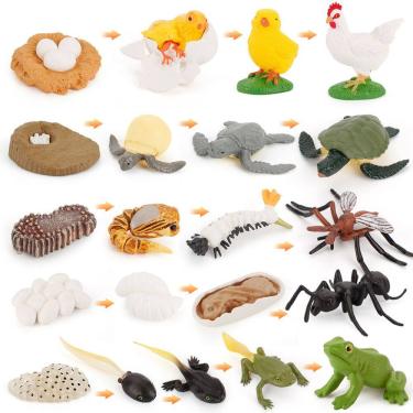 Imagem de Conjunto de estatuetas Animal Life Cycle, 12 peças, modelos de PVC, brinquedos infantis