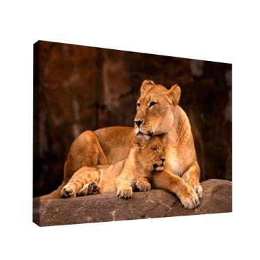 Imagem de Quadro Leoa E Filhote -- Br Artes