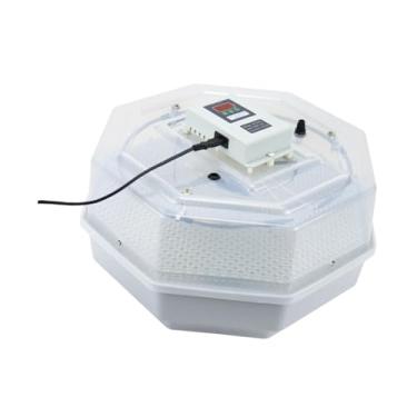 Imagem de Fenteer Incubadora de ovos Equipamento para incubação doméstica Virador automático inteligente Máquina para incubação de ovos de galinha para codorna,