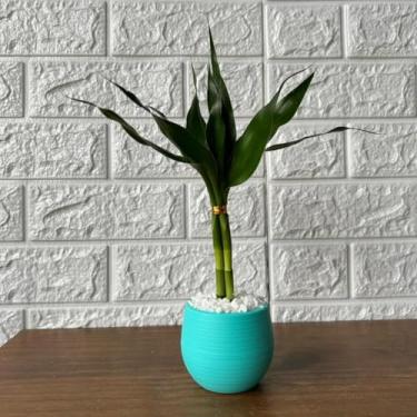 Imagem de Bonsai Decorativo Artificial com Planta Artificial Tipo Bambu, Vaso de Planta Colorido para Decoração de Sala, Escritório e Ambiente Interno (Azul Turquesa)