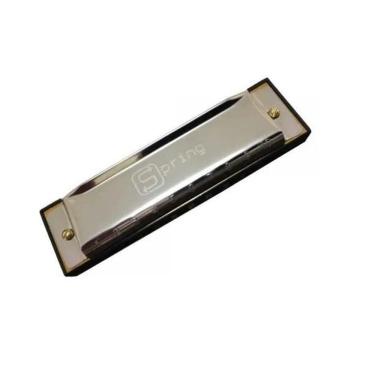 Imagem de Gaita Harmônica Blues Spring Diatônica G  Sol 