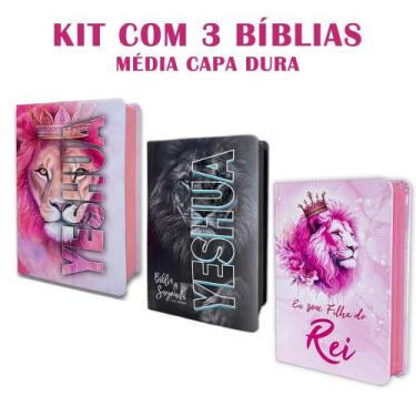 Imagem de Kit 3 Bíblias Letra Grande luxo com Harpa - Edição de Promessas - REI 