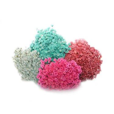 Imagem de 600 Sempre Viva Para Decoração - Tem Flores