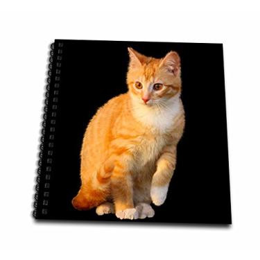 Imagem de 3dRose Caderno de gato vermelho engraçado com fundo preto espiral (db_266203_2)