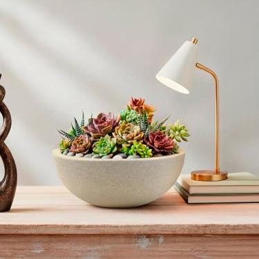 Imagem de Vaso modelo Bacia Riscatto em Polietileno 2L (Calcário)