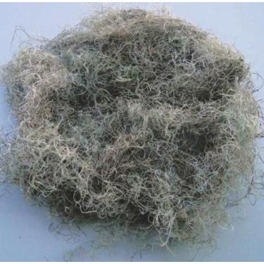 Imagem de Musgo para Orquideas e Decoração Substrato Kokedama 400 gms - Pense Fl