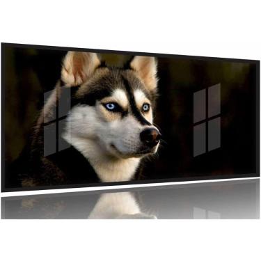 Imagem de Quadros Decorativos Husky Siberiano 130x60 Moldura Preta 2x2