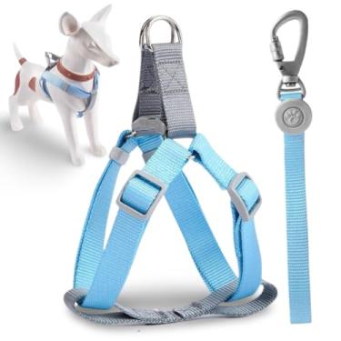 Imagem de Coleira Peitoral Para Cachorro Pequeno E Médio + Guia (Azul, M)