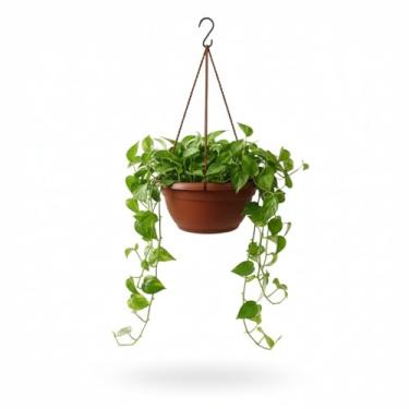 Imagem de Kit 10 Vasos Suspensos Decorativos, 13 cm, Alça 30 cm, Cores Sortidas, Ideal para Suculentas, Cacto (Cerâmica)