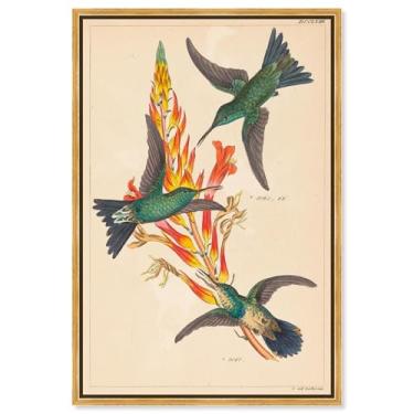 Imagem de Art Remedy Tela de impressões botânicas, 25,4 cm x 38,1 cm, moldura dourada, três beija-flores com planta