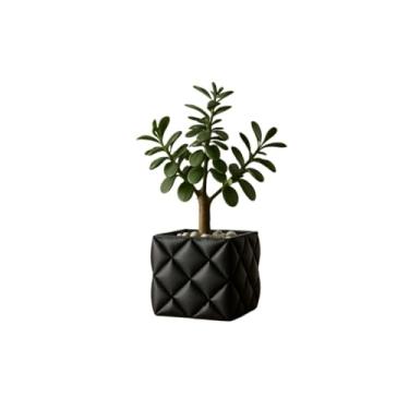 Imagem de Vaso de Planta Decorativo Família Sala Cachepot Cactos ou Suculentas Vasos Bronze Artificiais ou Naturais Texturizado(8cm,Preto)