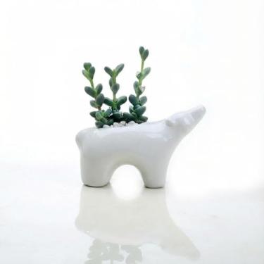 Imagem de SUSOYAOCHEN Lindo vaso de flores de cerâmica de urso branco com drenagem, cacto de aloe, suculenta, mini bonsai, plantador de animais para escritório, casa, jardim, decoração, plantas não incluídas