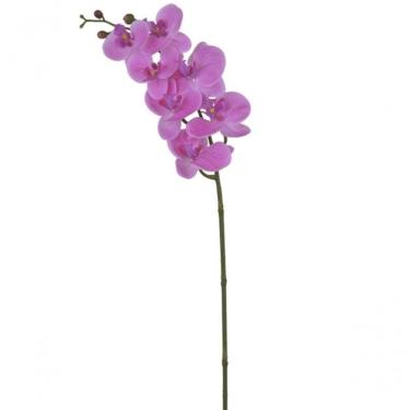 Imagem de Haste Flor Orquídea Phalaenopsis Real Toque C-coat X7 73cm