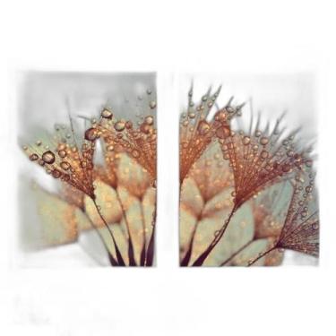Imagem de Kit 2 Quadros Dente De Leão Orvalho 45X34Cm Com Vidro Branca - Quadros