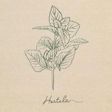 Imagem de Pano de Prato Extra Rústico Estampado Temperos Estilotex - 50 X 72cm, 