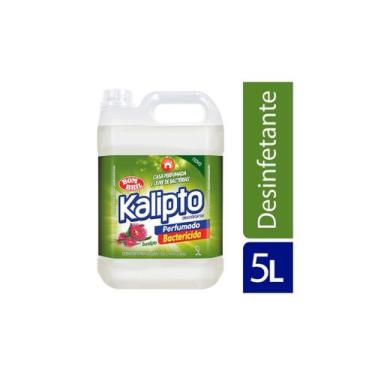 Imagem de Desinfetante Kalipto Eucalipto 5l Bom Bril
