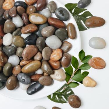 Imagem de Lechloris 5Ib Rain Forest River Rock - Pedras Decorativas - Seixos Para Plantas De Interior - Pedras Para Paisagismo Externo - Pedras Polidas De 0,3 A 0,8 Polegadas Para Aquário, Terrário, Vasos, D