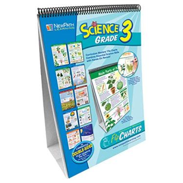 Imagem de (grade3) - SCIENCE FLIP CHART SET GR 3