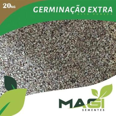 Imagem de Sementes de grama batatais (mato grosso) - Magi Sementes, 20 kg