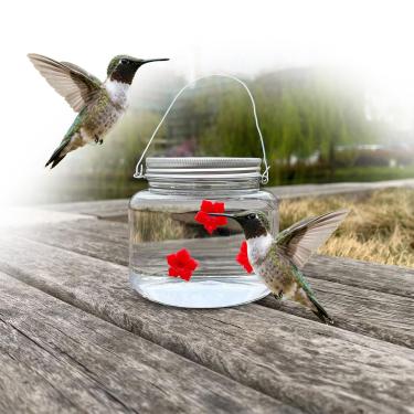 Imagem de Alimentador de beija-flor de 170 g para pendurar ao ar livre com 3 portas de alimentação de flores, alimentador de néctar de pássaros à prova de vazamento para decoração de jardim externo, quintal