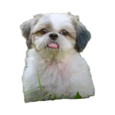 Imagem de Capa De Almofada Para Cachorro Shih Tzu, Capa Decorativa Moderna Para 