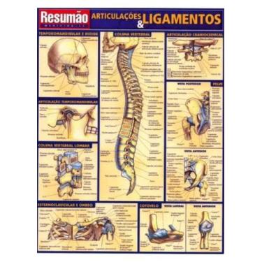 Imagem de Resumão Articulações e Ligamentos