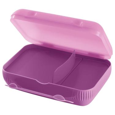Imagem de Porta Lanche Tupperware com Divisórias