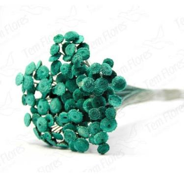 Imagem de Botão Verde Desidratado Sempre Viva Flores Secas - Tem Flores