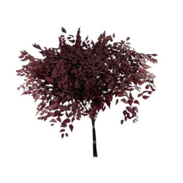 Imagem de Buquê Avenca Cor Vinha Natural Decoração Arranjo Desidratado - INSPIRA