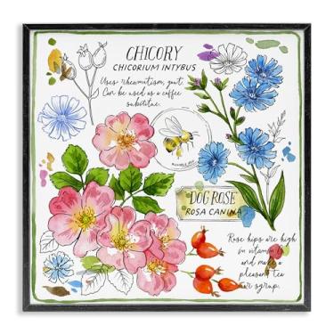 Imagem de Stupell Industries Varied Herbs Benefits Framed Giclee Wall Art Design de Jane Maday, moldura preta, 12 x 12