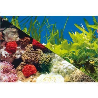 Imagem de Enfeite Painel Imagem Para Aquario Doce Marinho 40x25cm N2 - STEELLPET
