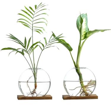 Imagem de wangsdjy Estação de propagação de vaso de vidro com base de madeira - vaso hidropônico oblato transparente, vaso de flores decorativo de mesa para casa, escritório, peitoril da janela - presente para