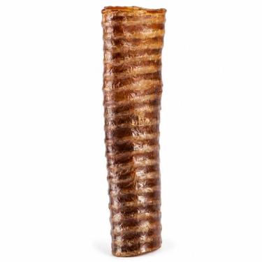Imagem de Mordedor Pet Traqueia Natural 100% Bovino Caes Brinquedo - - Good