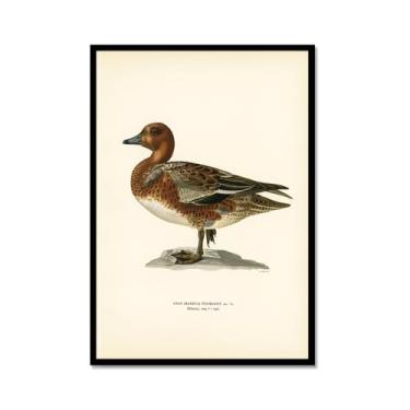 Imagem de Impressão de pato vintage rústico Pato Pato Pato Lago pôster de arte de parede retrô natureza pintura em tela imagens decoração de quarto de fazenda (SKU14,20.3x30.5 cm = (20x30cm), moldura de metal