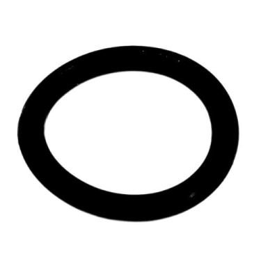 Imagem de Anel da Válvula Compatível com Bomba WAP L Profi 4000 - Parceiro das P