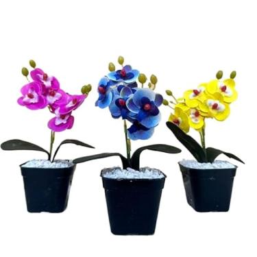 Imagem de Decoração Sala, kit três vasinhos mini arranjo de orquídeas permanentes efeito real decoração(TRIO MODELO 12)