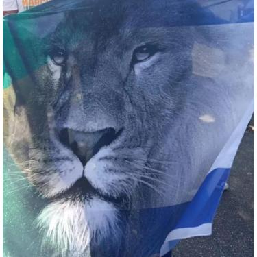 Imagem de BANDEIRA DE LEÃO, tecido com imagem de leão - Praise The Lord, haste d