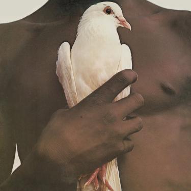 Imagem de SANTANA Greatest Hits (1974) [Disco de Vinil]