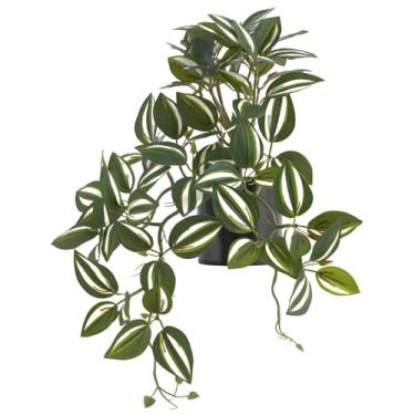 Imagem de Planta peperomia de melancia falsa de mesa com vaso, folhas verdes impressas realistas para decoração de casa