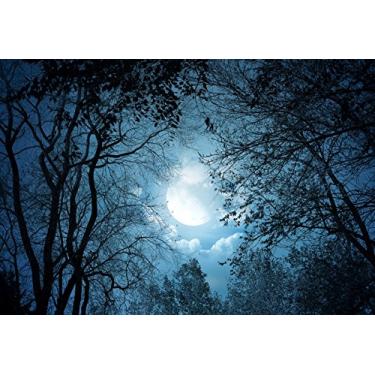 Imagem de Yeele 2,1 x 1,5 m, floresta, visão noturna, cenário, céu noturno, lua, árvore, fotografia de fundo para bebês, meninas, meninos, adultos, cabine fotográfica, papel de parede de vinil, adereços de