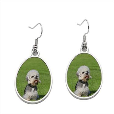 Imagem de Dandie Dinmont Terrier em um brinco de grama verde – Brincos pendurados para meninas – Presente de festa de aniversário dos namorados