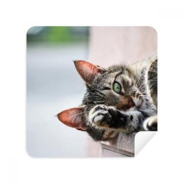 Imagem de Animal Activity Cat Photograph Picture Glasses Pano Limpador de Tela Tecido Camurça Pacote com 2