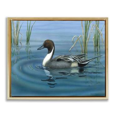 Imagem de Stupell Industries Tela emoldurada Pintail Loon in Pond Gold Floater Design de arte de parede por Valerie Rogers, 21 x 17