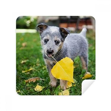 Imagem de Bonito filhote de cachorro de estimação fotografia óculos pano de limpeza limpador de tela de telefone tecido de camurça 2 peças