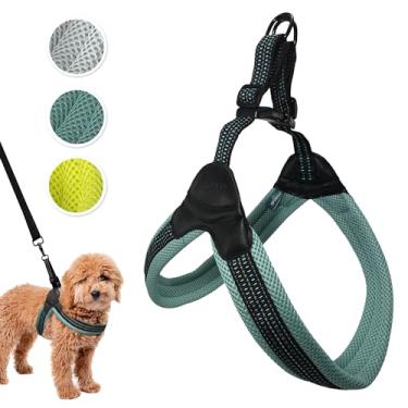 Imagem de Sporn Peitoral para cães Easy Fit, malha, azul, grande (SPUS20067)