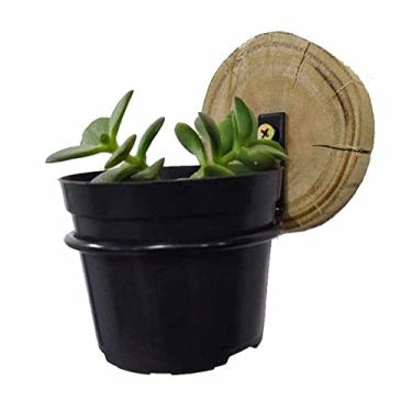 Imagem de Kit C/3 - Suporte De Vaso P/Parede + Apoio De Madeira 110mm