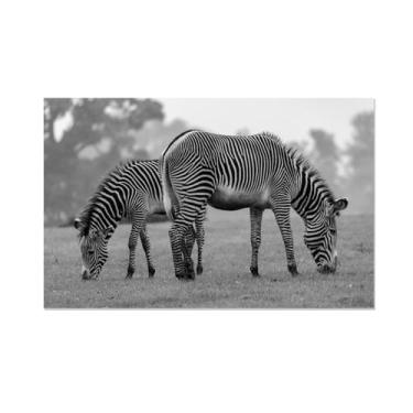 Imagem de Quadros em tela preto e branco animais decoração de parede, arte retro Due zebre in branco e preto, modernos mural fotos para sala de estar, quarto, casa de banho, sala de jantar70 x 110 cm (28 x 43