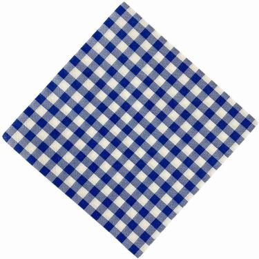 Imagem de Guardanapo de Papel Xadrez Festa Junina 16,5x16,5CM Azul e Branco Pacote com 20 Unidades